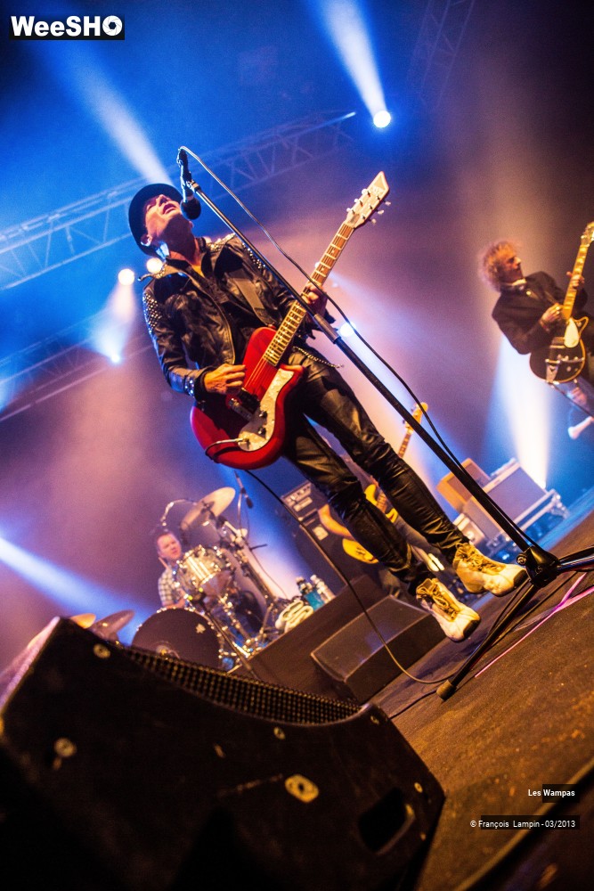 38/50 photos du spectacle Les Wampas
