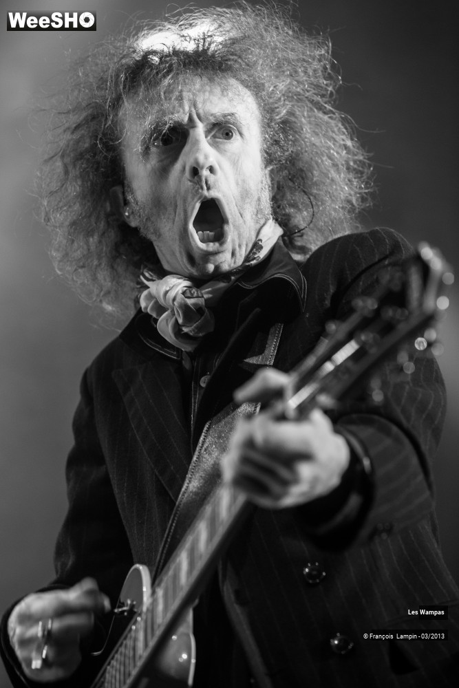 39/50 photos du spectacle Les Wampas