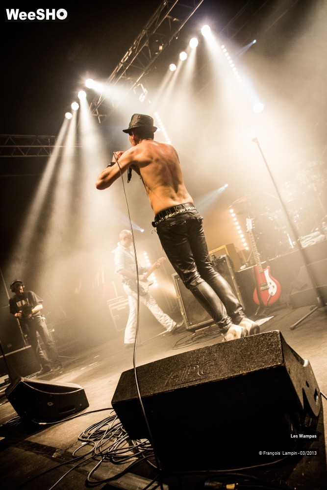 40/50 photos du spectacle Les Wampas
