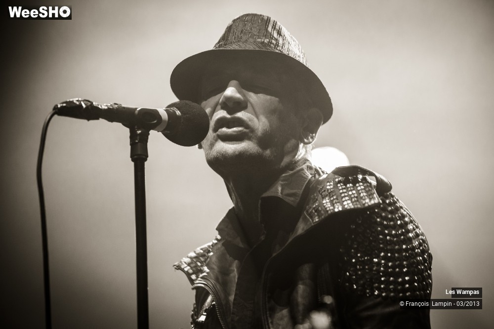 42/50 photos du spectacle Les Wampas