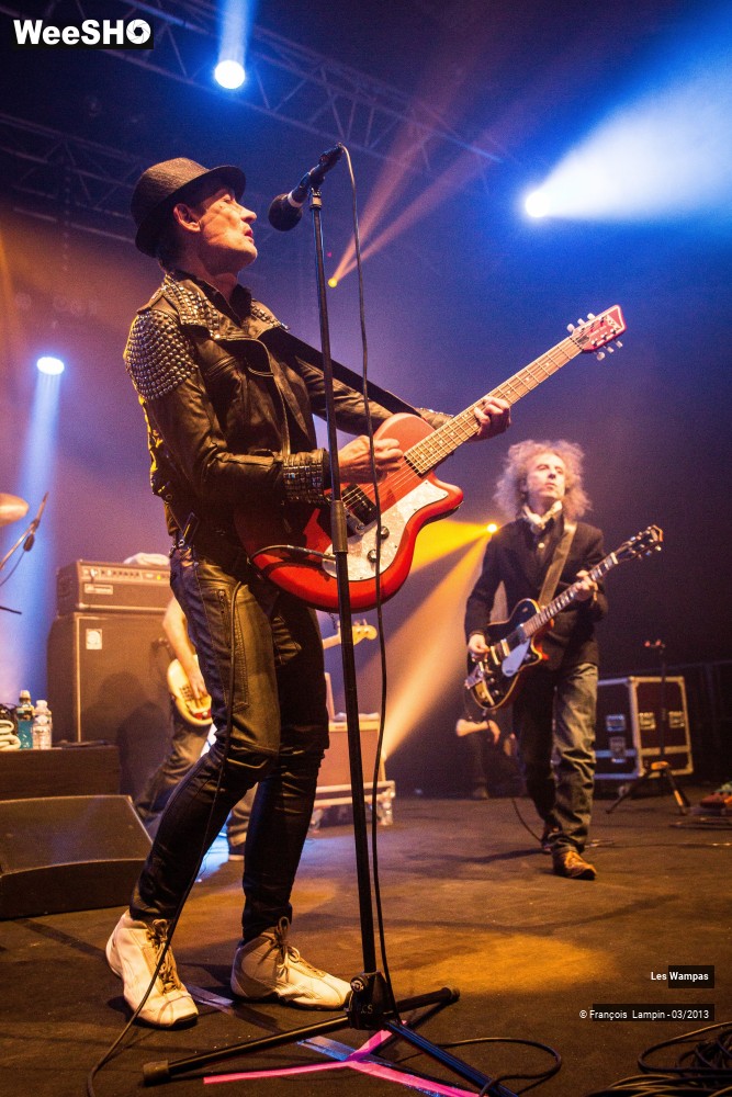 43/50 photos du spectacle Les Wampas