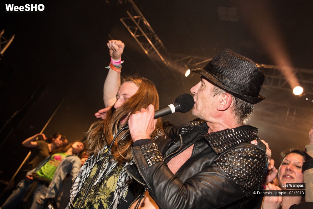 45/50 photos du spectacle Les Wampas