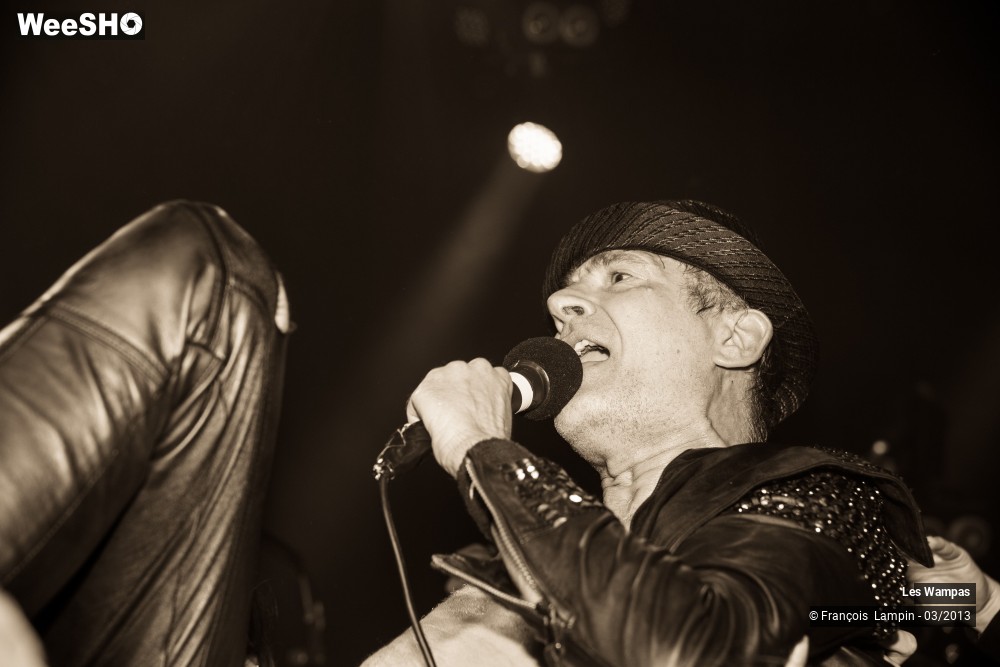 48/50 photos du spectacle Les Wampas