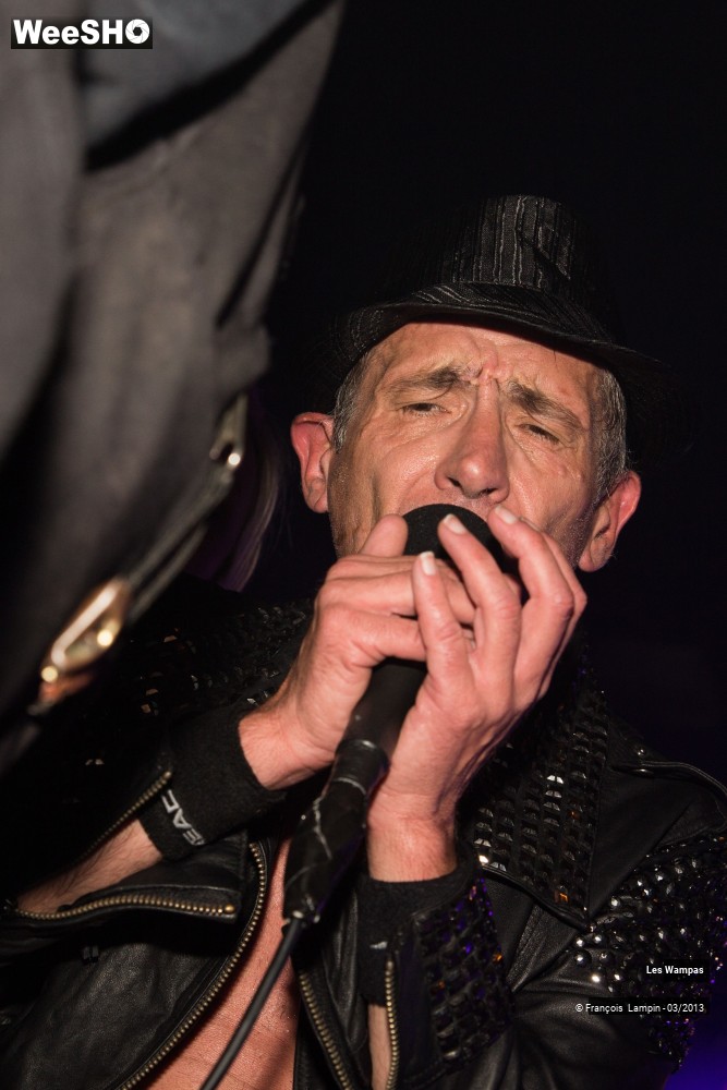 49/50 photos du spectacle Les Wampas