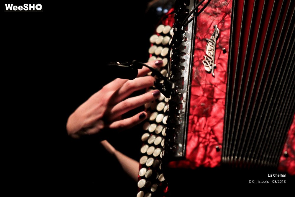 12/41 photos du spectacle Liz Cherhal