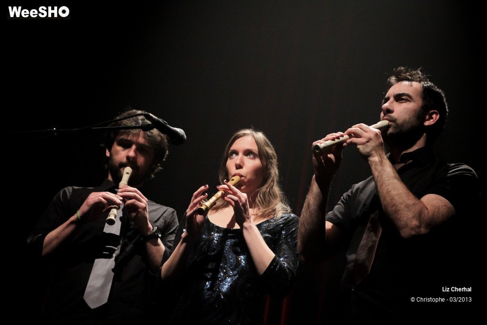 14/41 photos du spectacle Liz Cherhal