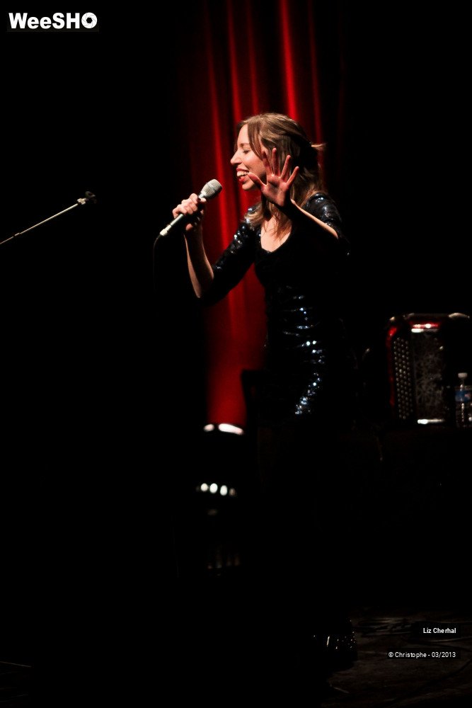 18/41 photos du spectacle Liz Cherhal
