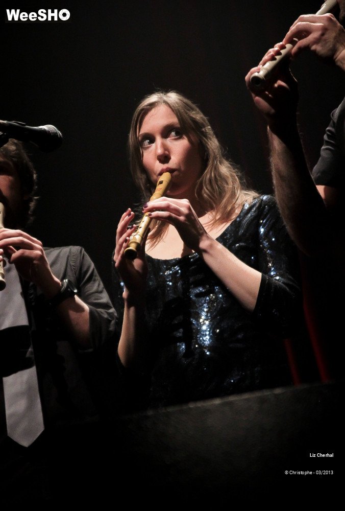 23/41 photos du spectacle Liz Cherhal