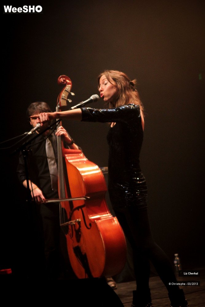 26/41 photos du spectacle Liz Cherhal