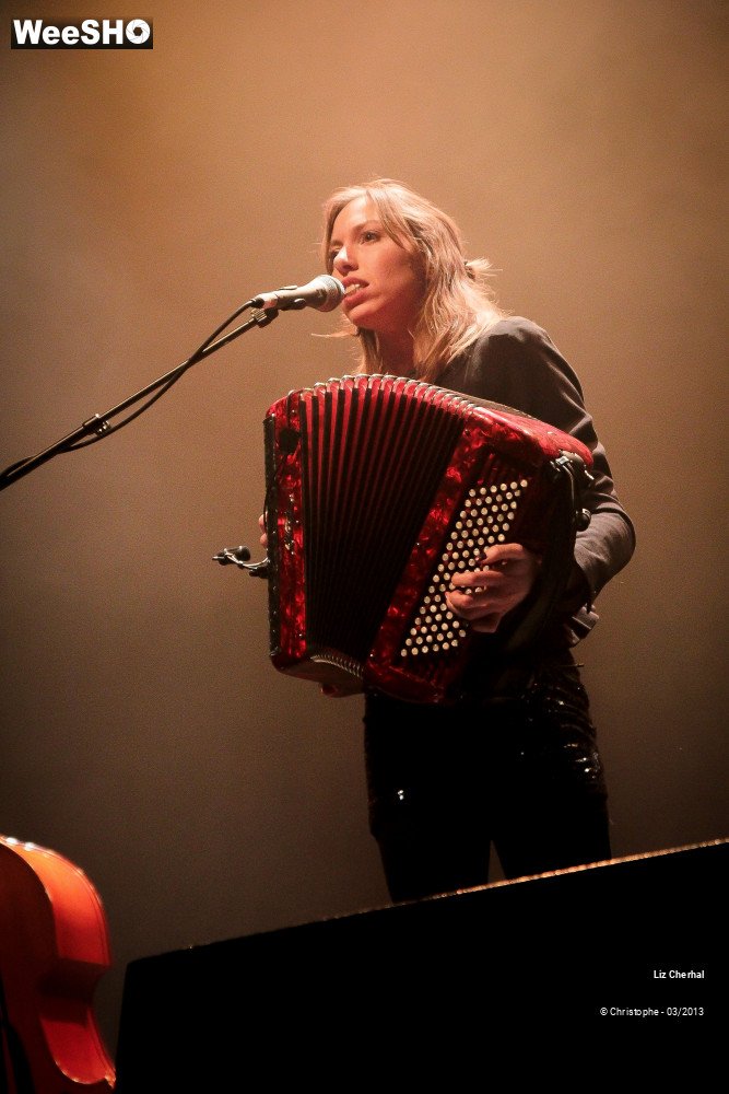 27/41 photos du spectacle Liz Cherhal