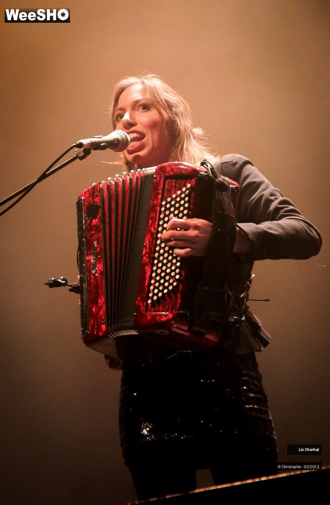 28/41 photos du spectacle Liz Cherhal