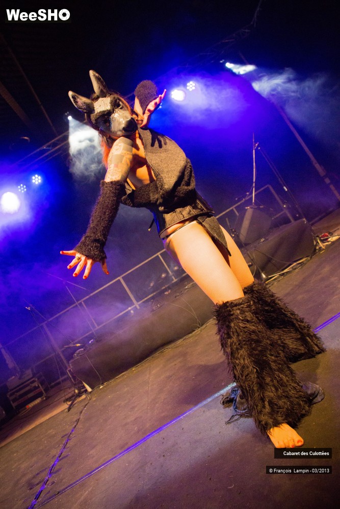 21/31 photos du spectacle Cabaret des Culottées