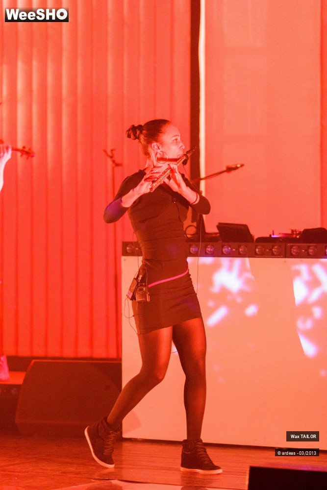 12/33 photos du spectacle Wax Tailor