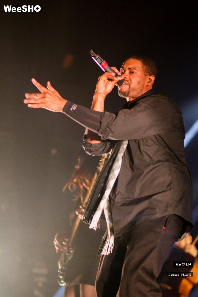 15/33 photos du spectacle Wax Tailor