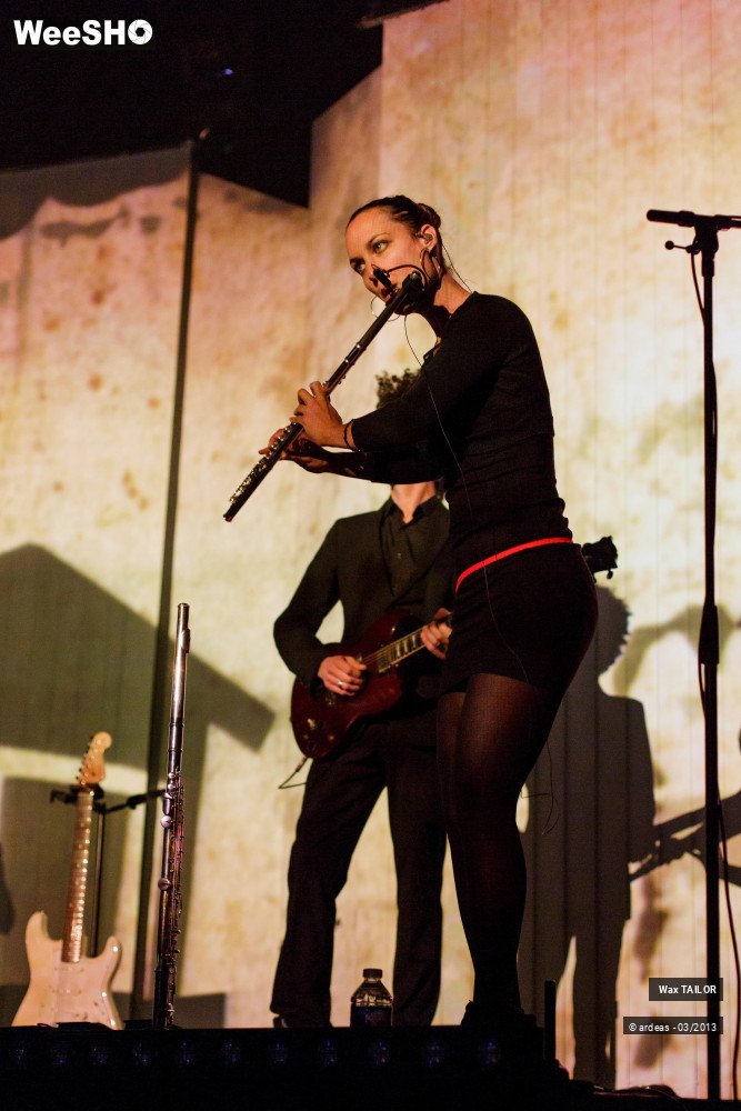 16/33 photos du spectacle Wax Tailor