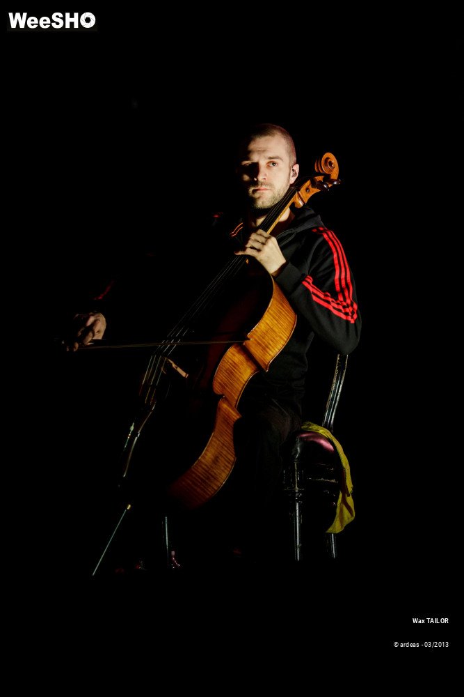 17/33 photos du spectacle Wax Tailor