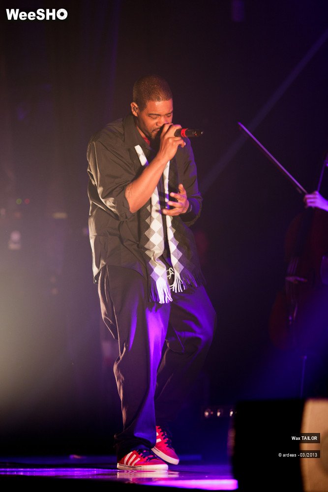 18/33 photos du spectacle Wax Tailor