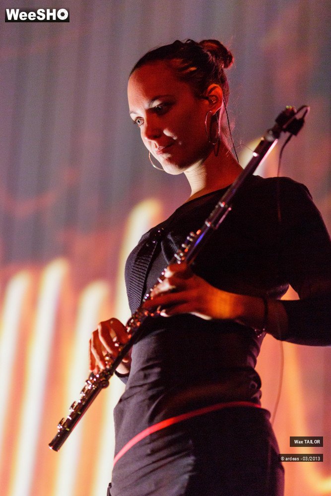 19/33 photos du spectacle Wax Tailor