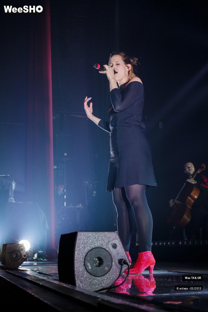 20/33 photos du spectacle Wax Tailor