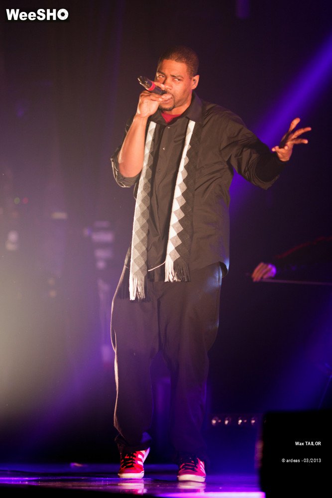 29/33 photos du spectacle Wax Tailor