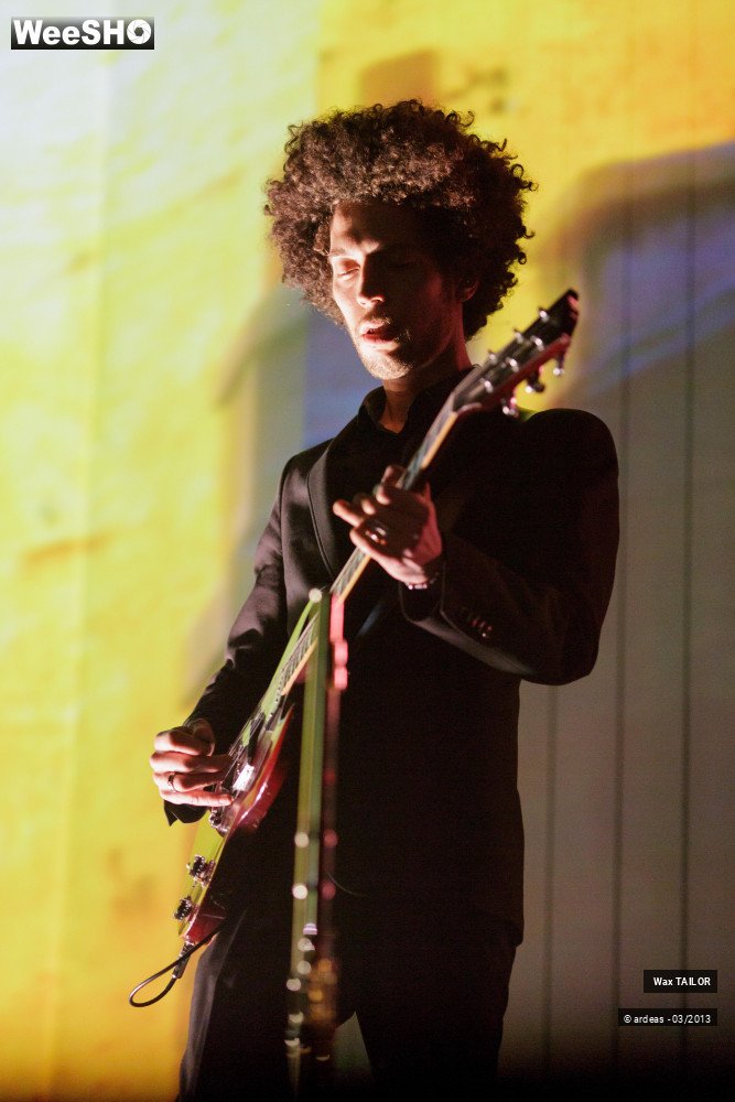 30/33 photos du spectacle Wax Tailor