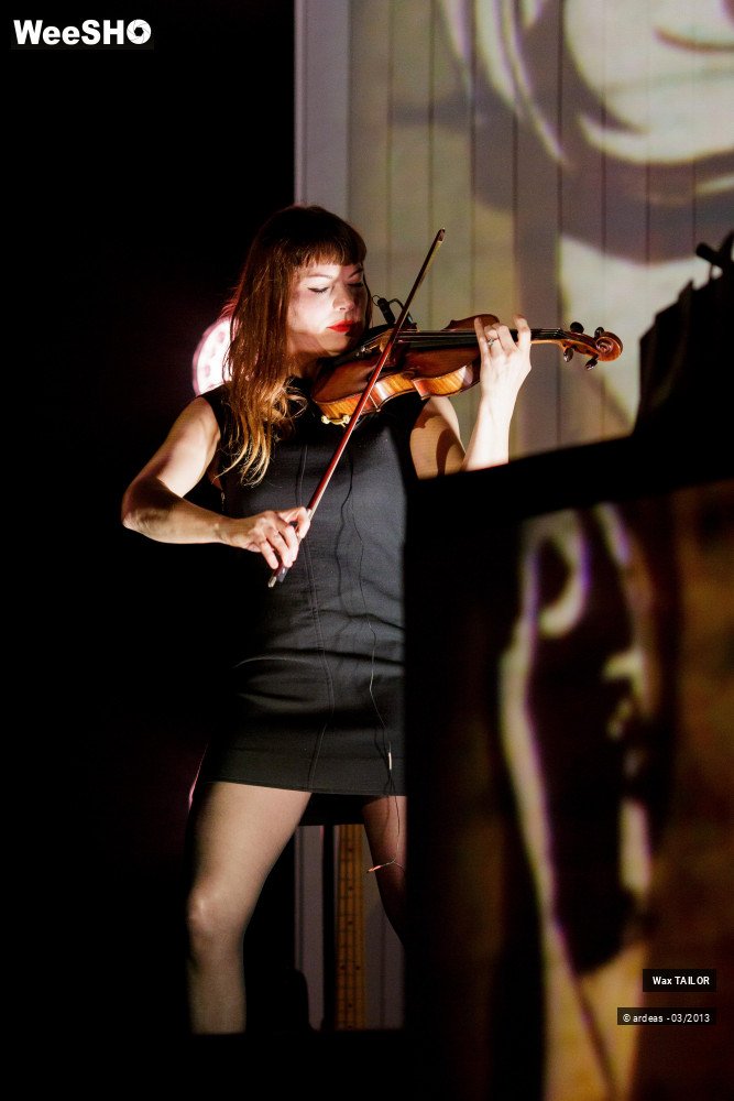 32/33 photos du spectacle Wax Tailor