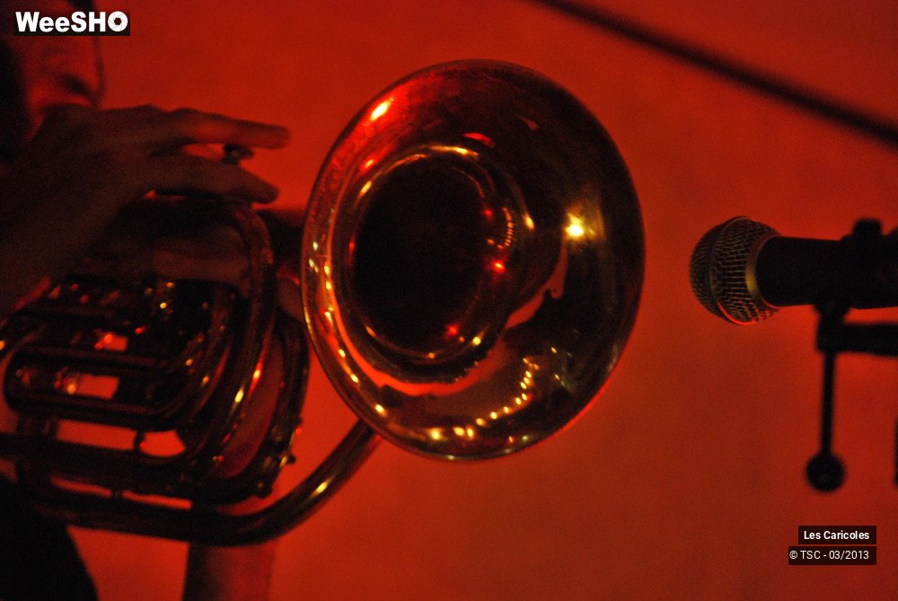 6/19 photos du spectacle Les Caricoles