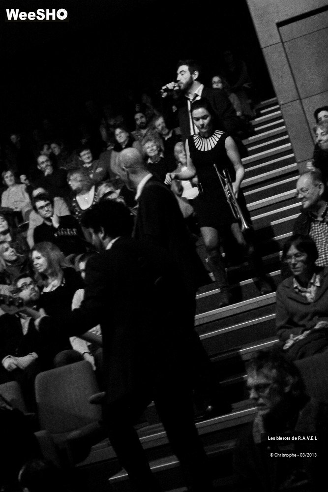 31/47 photos du spectacle Les Blerots de R.A.V.E.L