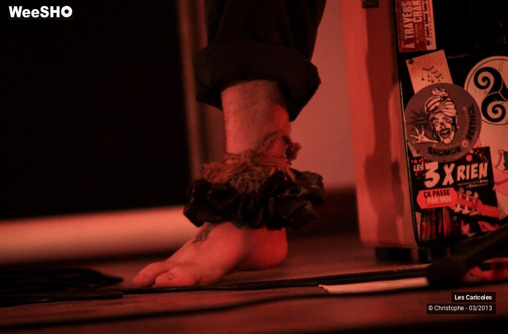 3/44 photos du spectacle Les Caricoles