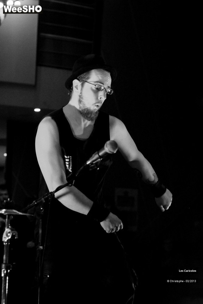 27/44 photos du spectacle Les Caricoles