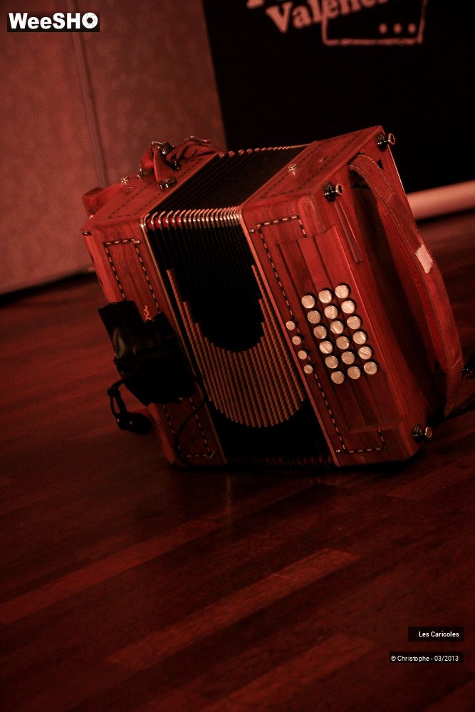 31/44 photos du spectacle Les Caricoles