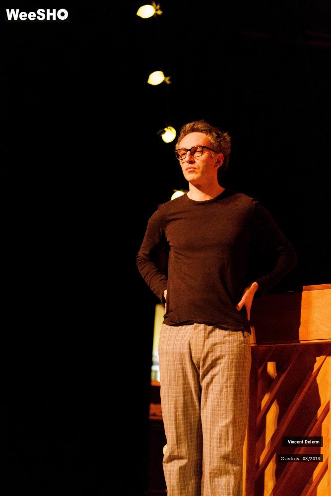 11/19 photos du spectacle Vincent Delerm