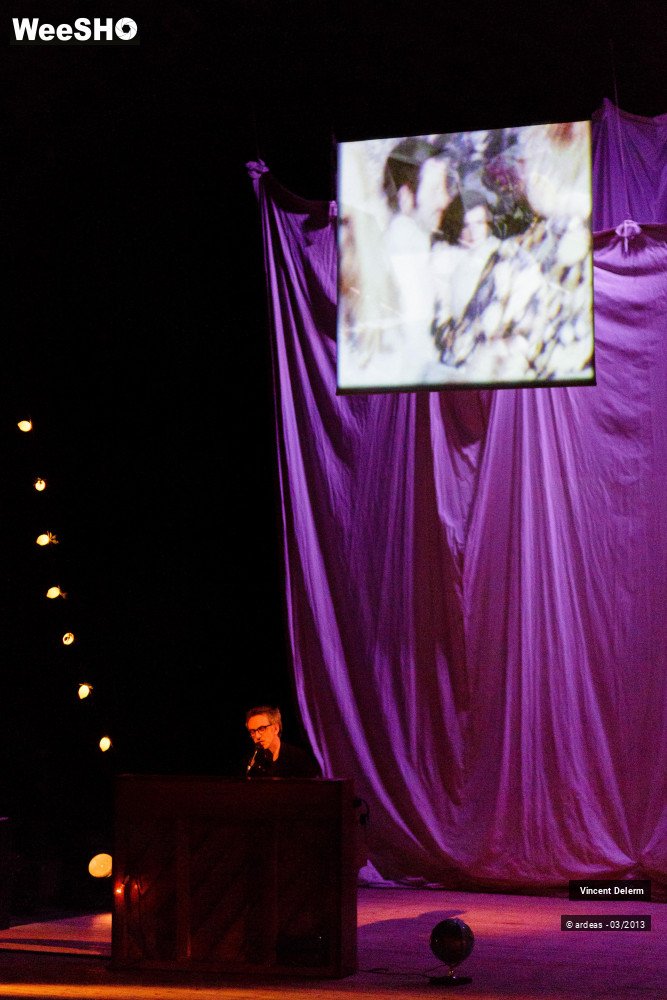 13/19 photos du spectacle Vincent Delerm