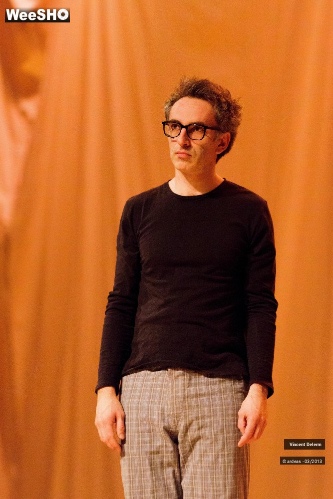 16/19 photos du spectacle Vincent Delerm