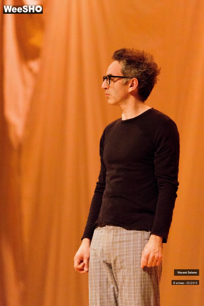 18/19 photos du spectacle Vincent Delerm
