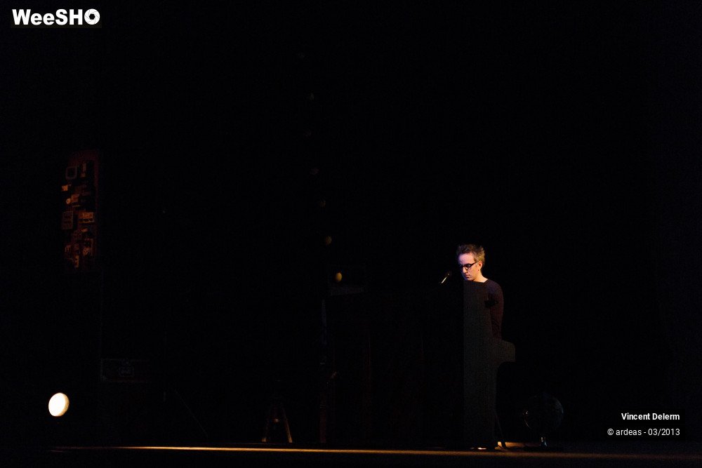 19/19 photos du spectacle Vincent Delerm