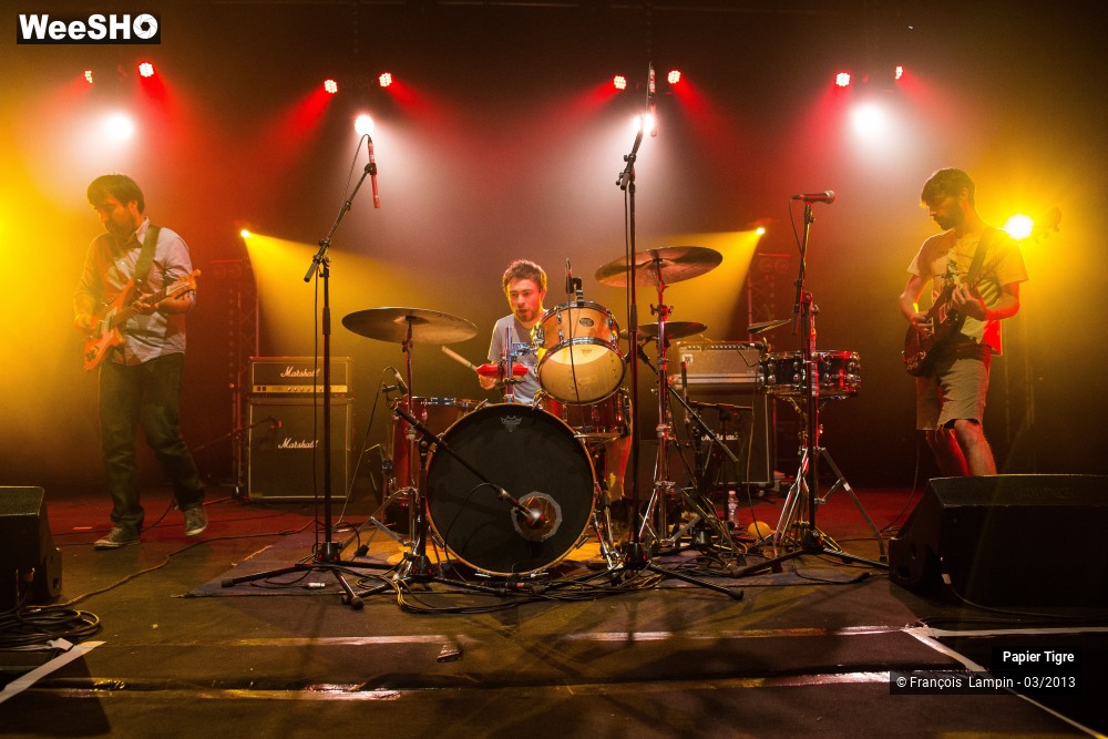 1/5 photos du spectacle Papier Tigre Interview