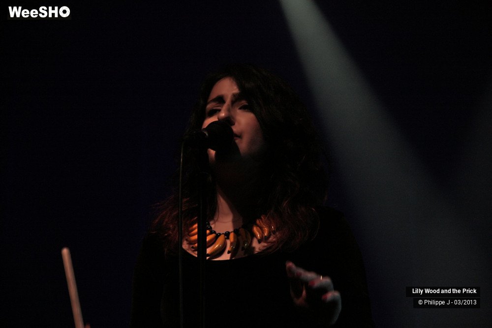 11/16 photos du spectacle Lilly Wood & The Prick