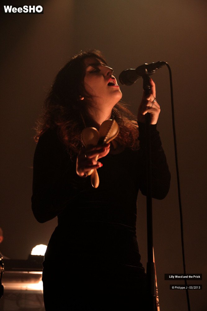 13/16 photos du spectacle Lilly Wood & The Prick