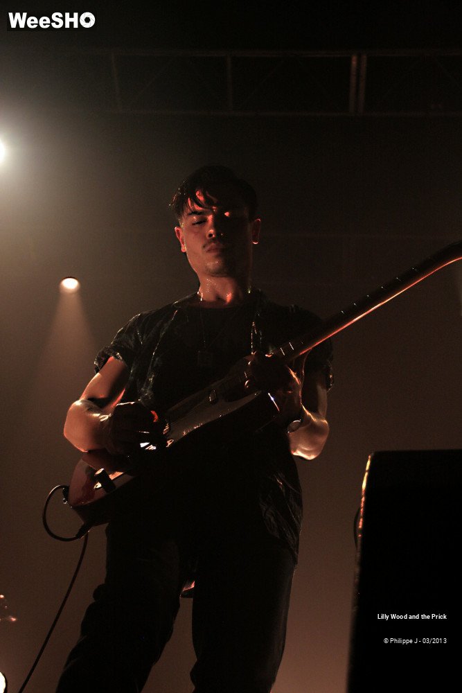 15/16 photos du spectacle Lilly Wood & The Prick