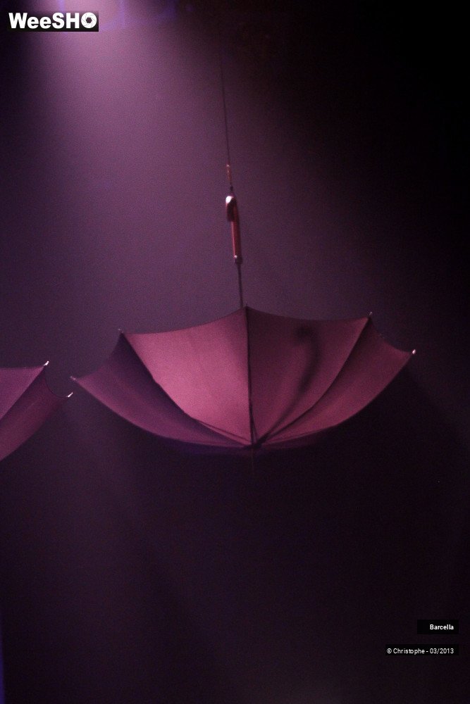 42/47 photos du spectacle Barcella