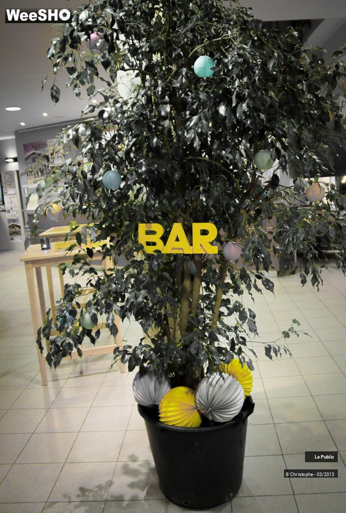 43/50 photos du spectacle A Travers Chants Staff