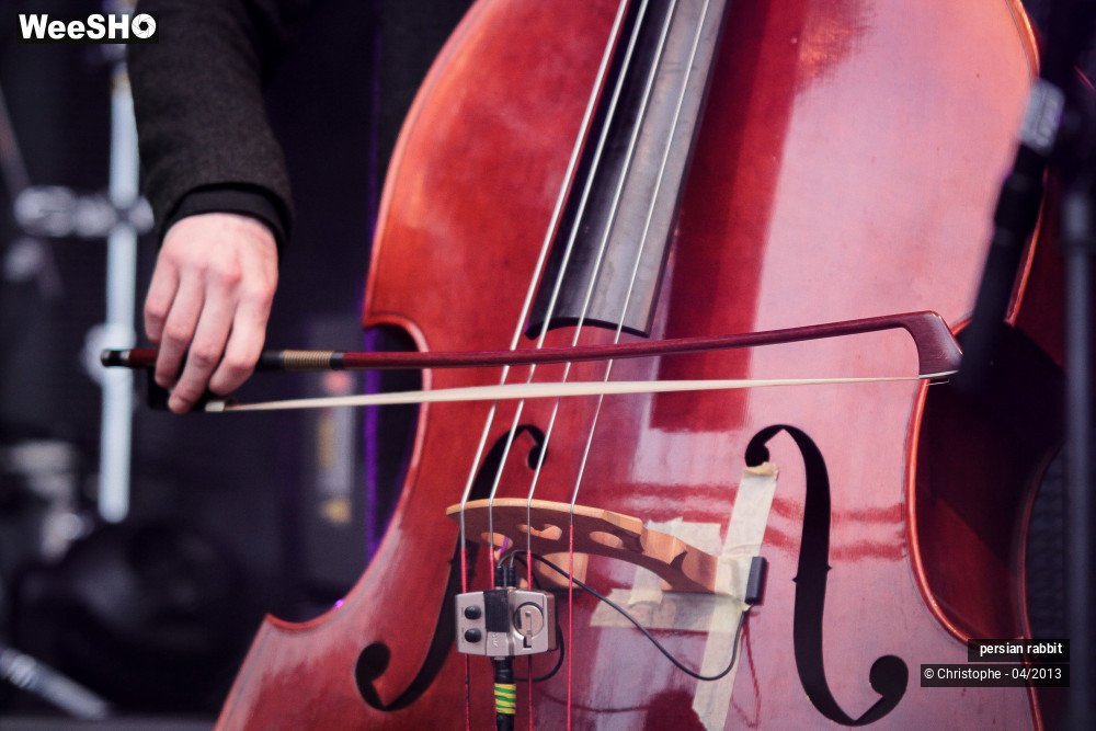 1/44 photos du spectacle persian rabbit