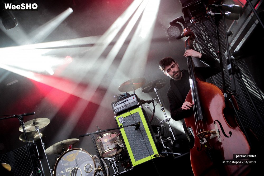 13/44 photos du spectacle persian rabbit