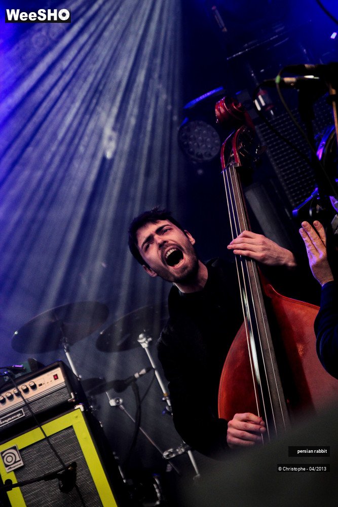 26/44 photos du spectacle persian rabbit