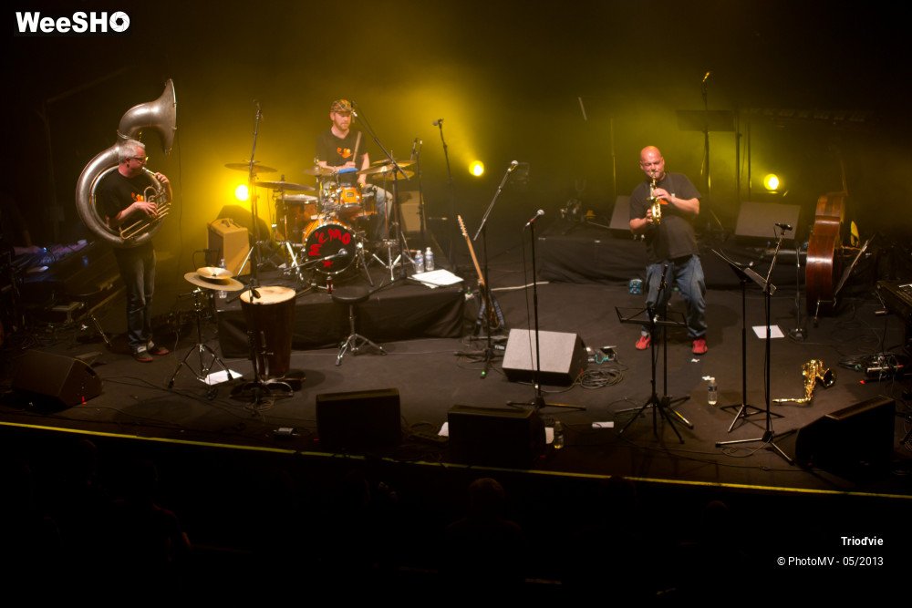 8/46 photos du spectacle Triod'vie