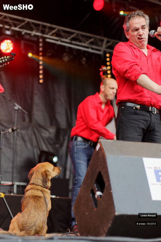 12/30 photos du spectacle Lenine Renaud