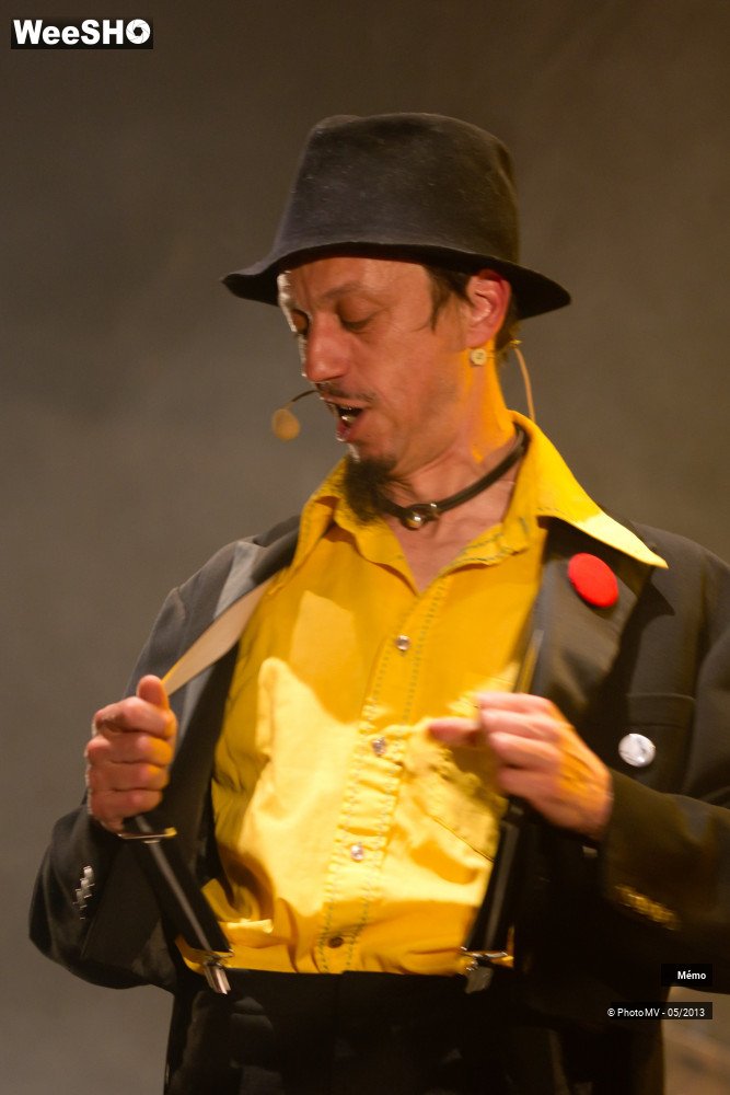 38/50 photos du spectacle Mémo