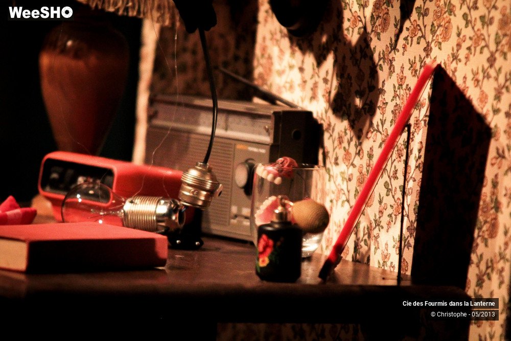 13/30 photos du spectacle Monsieur Watt