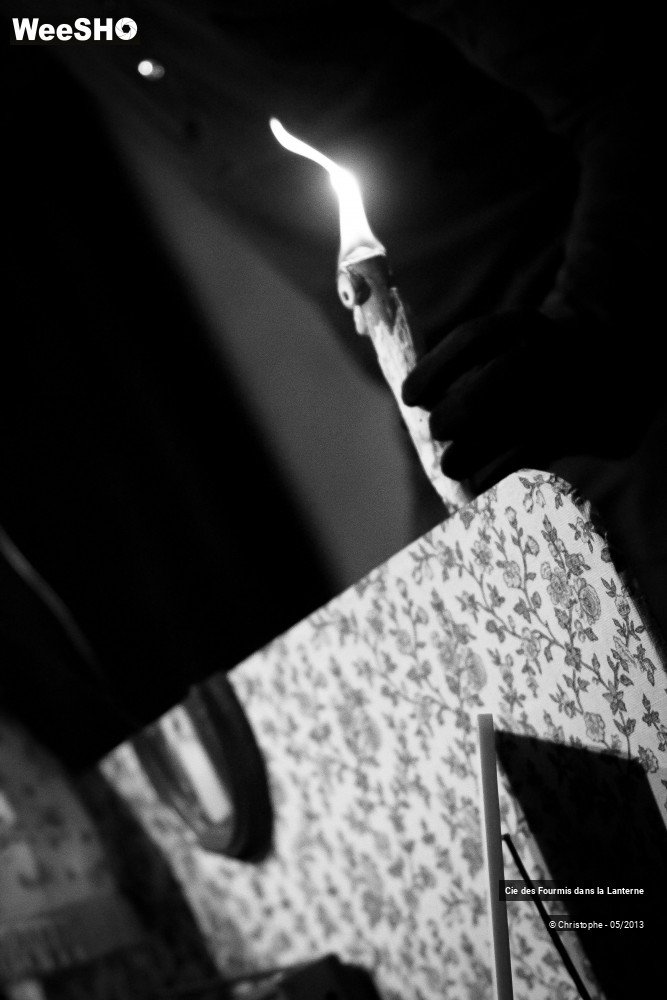 23/30 photos du spectacle Monsieur Watt